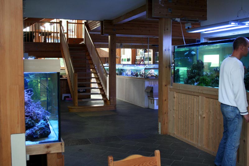 Killikus&reg; Fotographie